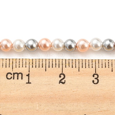 Electroplated Natural Shell Beads Strands SHEL-F008-03A-04-1