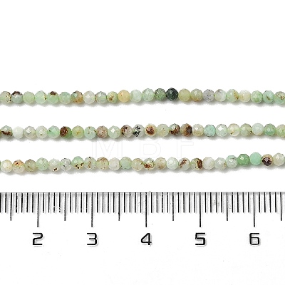 Natural Chalcedony Beads Strands G-RM250104-D9-1