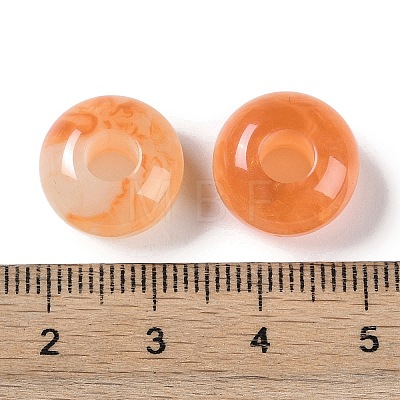 Two Tone Resin European Beads RESI-F055-09B-1