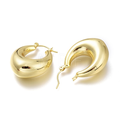 Brass Hoop Earrings EJEW-H104-19G-1