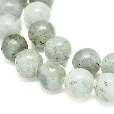 Natural Labradorite Beads Strands G-G828-01-10mm-1