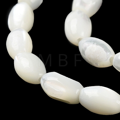 Natural Trochus Shell Beads Strands BSHE-E030-02C-1