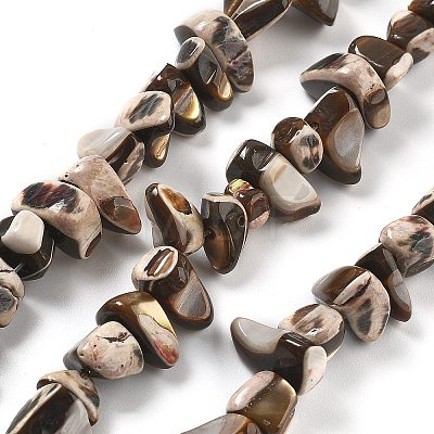 Dyed Natural Trochus Shell Beads Strands BSHE-Z006-01B-1