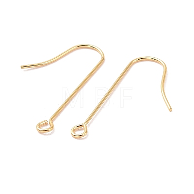 316 Surgical Stainless Steel Earring Hooks X-STAS-E027-02B-G-1