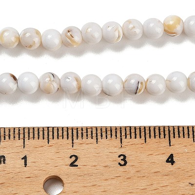 Assembled Synthetic Stone and Trochus Shell Beads Strands G-B128-08A-01-1