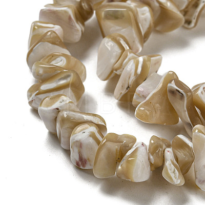 Natural Trochus Shell Beads Strands SSHEL-H072-09-1