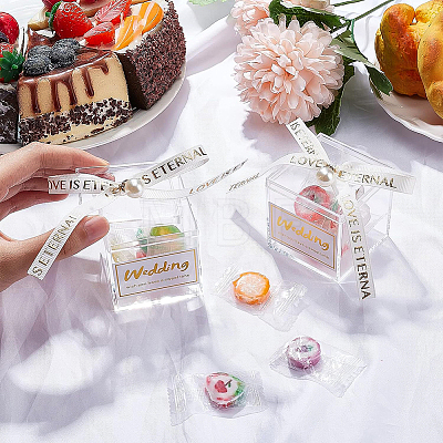 Square Transparent Acrylic Candy Gift Boxes CON-WH0088-15B-1