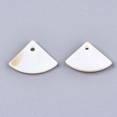 Natural Freshwater Shell Charms SHEL-S276-113-1