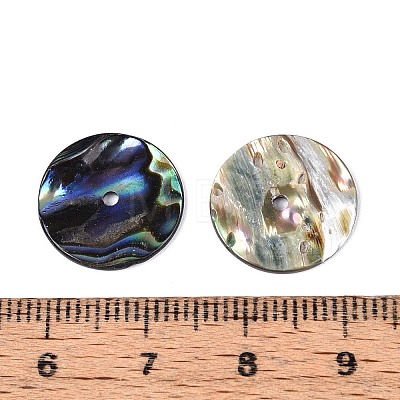 Natural Paua Shell Beads SSHEL-N040-20B-1