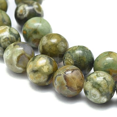 Natural Rhyolite Jasper Beads Strands X-G-F674-03A-8mm-1