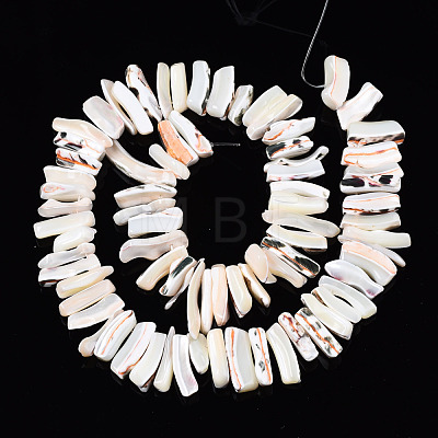 Natural Trochid Shell/Trochus Shell Beads Strands SSHEL-T014-41-1