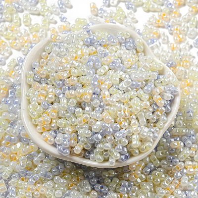 Glass Seed Beads SEED-K009-02B-21-1