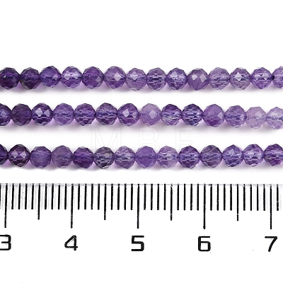 Natural Amethyst Beads Strands G-B037-02A-01-1