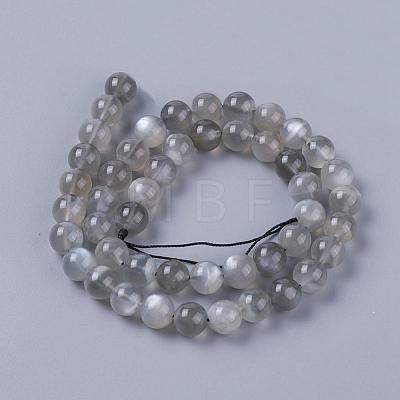 Natural Grey Moonstone Beads Strands G-F632-29-02-1