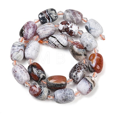 Natural Fire Crackle Agate Beads Strands G-K393-G04-12x16-1