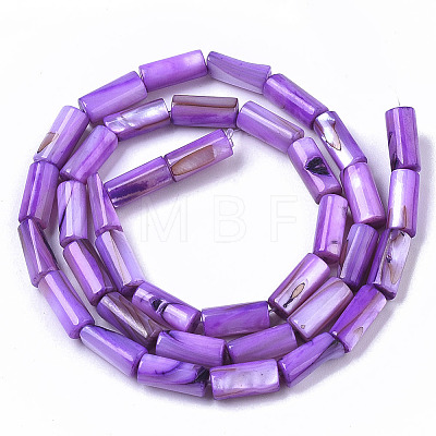 Natural Freshwater Shell Beads X-SHEL-R047-01C-1