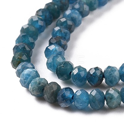 Faceted Rondelle Natural Apatite Bead Strands G-F289-48B-1