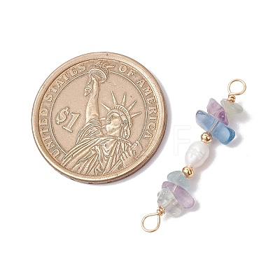 Natural Fluorite Chip & Natural Cultured Freshwater Pearl Rice Beaded Connector Charms PALLOY-JF03707-06-1