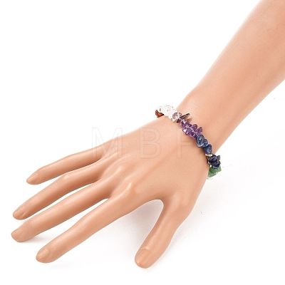 Natural Gemstone Beaded Anklets & Stretch Bracelets Jewelry Sets SJEW-JS01133-1
