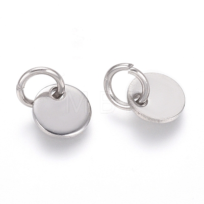 304 Stainless Steel Charms STAS-I124-01A-P-1