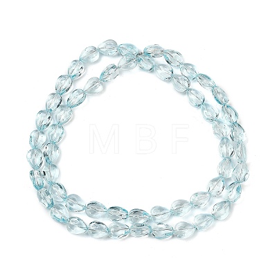 Transparent Glass Beads Strands GLAA-H038-03C-1