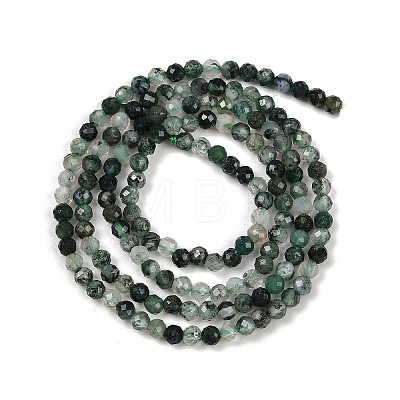 Natural Moss Agate Beads Strands X-G-A129-3mm-01-1