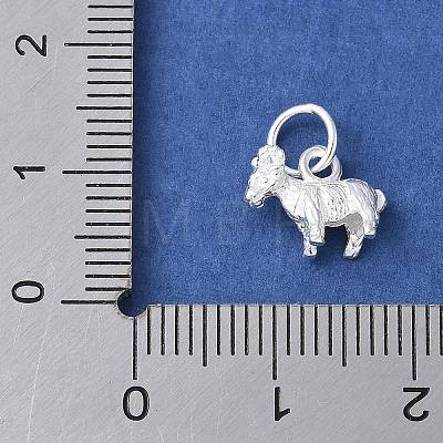 925 Sterling Silver 3D Chinese Zodiac Charms STER-P066-01S-08-1