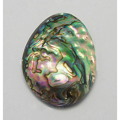 Abalone Shell/Paua Shell Pendants SSHEL-N001-106-1