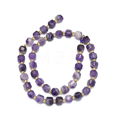 Natural Amethyst Jade Beads Strands G-I376-D27-01-1