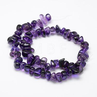 Natural Amethyst Beads Strands G-F521-19-1