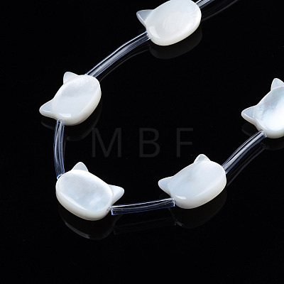 Natural White Shell Beads Strands SSHEL-S278-124A-1