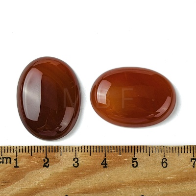 Natural Red Agate Cabochons G-L601-03C-01-1