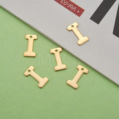 304 Stainless Steel Charms LS-X-STAS-P141-I-1