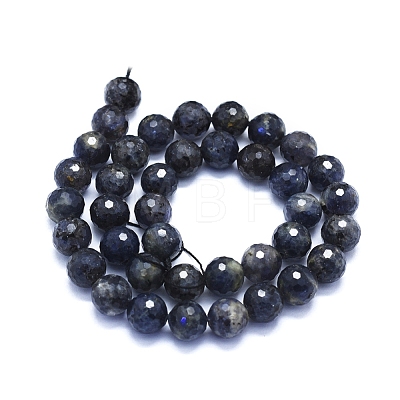 Natural Iolite Beads Strands G-E561-21-10mm-1