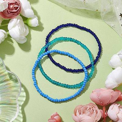 Glass Seed Beads Anklets AJEW-AN00599-01-1