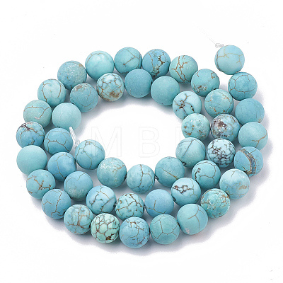 Natural Howlite Beads Strands X-G-T106-183-1-1