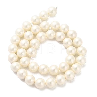 Shell Pearl Beads Strands BSHE-XCP0001-33-1