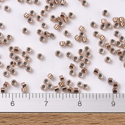 MIYUKI Delica Beads SEED-MY11-DB0037-1