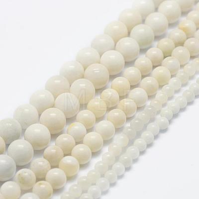 Natural White Jade Bead Strands G-G666-07A-1