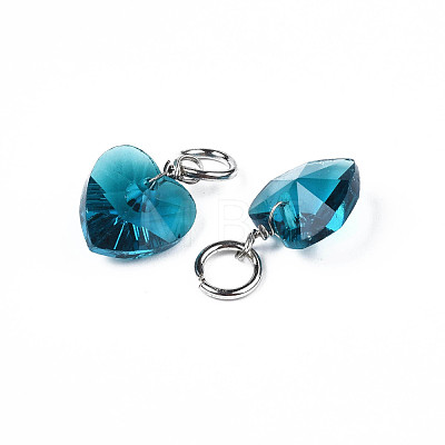 Faceted Transparent Glass Charms GLAA-T024-04D-1