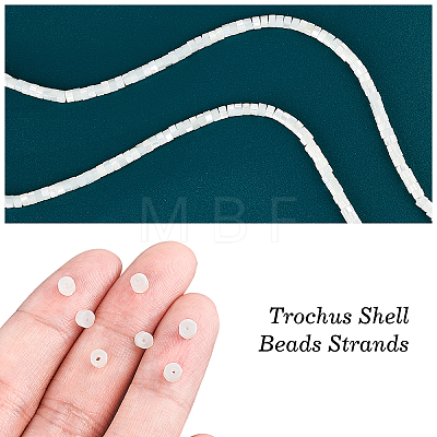  Natural Trochid Shell/Trochus Shell Beads Strands PEAR-NB0001-13-1
