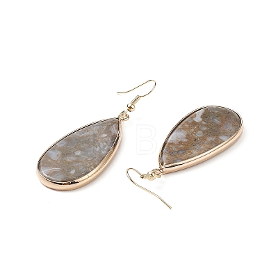 Natural Ocean Agate Teardrop Dangle Earrings EJEW-G331-01G-09-1