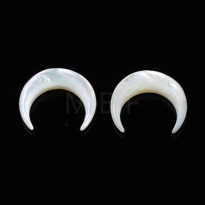 Natural White Shell Mother of Pearl Shell Beads X-SSHEL-T012-07-1