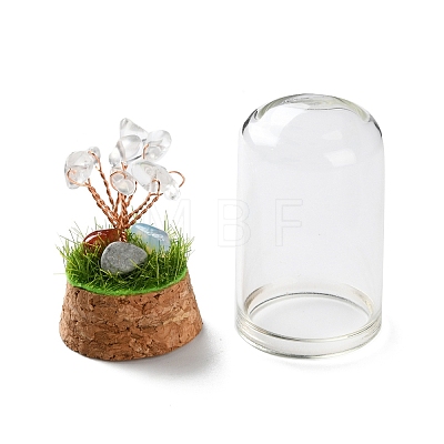 Natural Mixed Gemstone Chips Money Tree in Dome Glass Bell Jars with Wood Base Display Decorations DJEW-K030-02-1