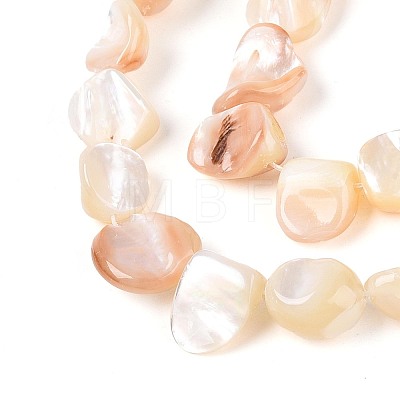Natural Sea Shell Beads Strands SSHEL-N041-02A-1