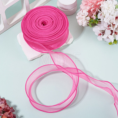 Polyester Mesh Ribbons SRIB-TAC0002-28B-03-1-1