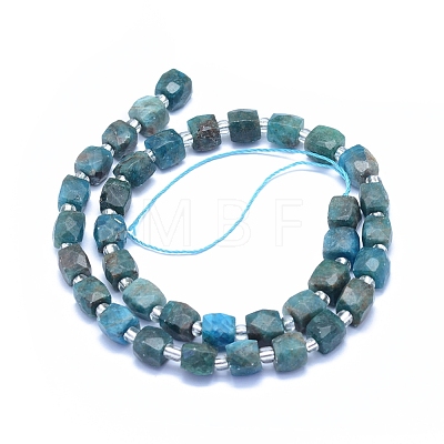 Natural Apatite Beads Strands G-L552D-06A-1