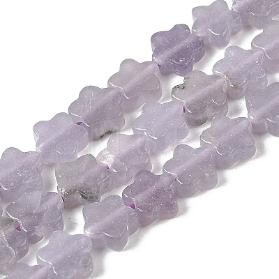 Natural Lepidolite/Purple Mica Stone Beads Strands G-B138-C18-01-1