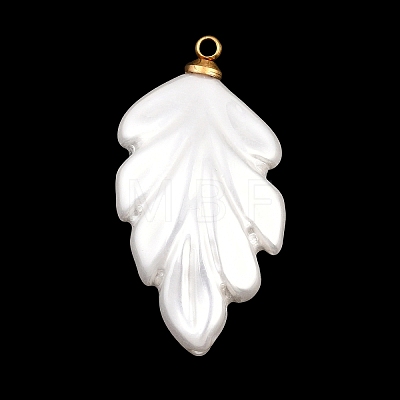 304 Stainless Steel Resin Pendants STAS-K322-11A-G-1
