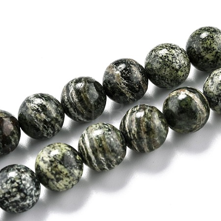 Natural Green Zebra Jasper Beads Strands G-O199-05C-1